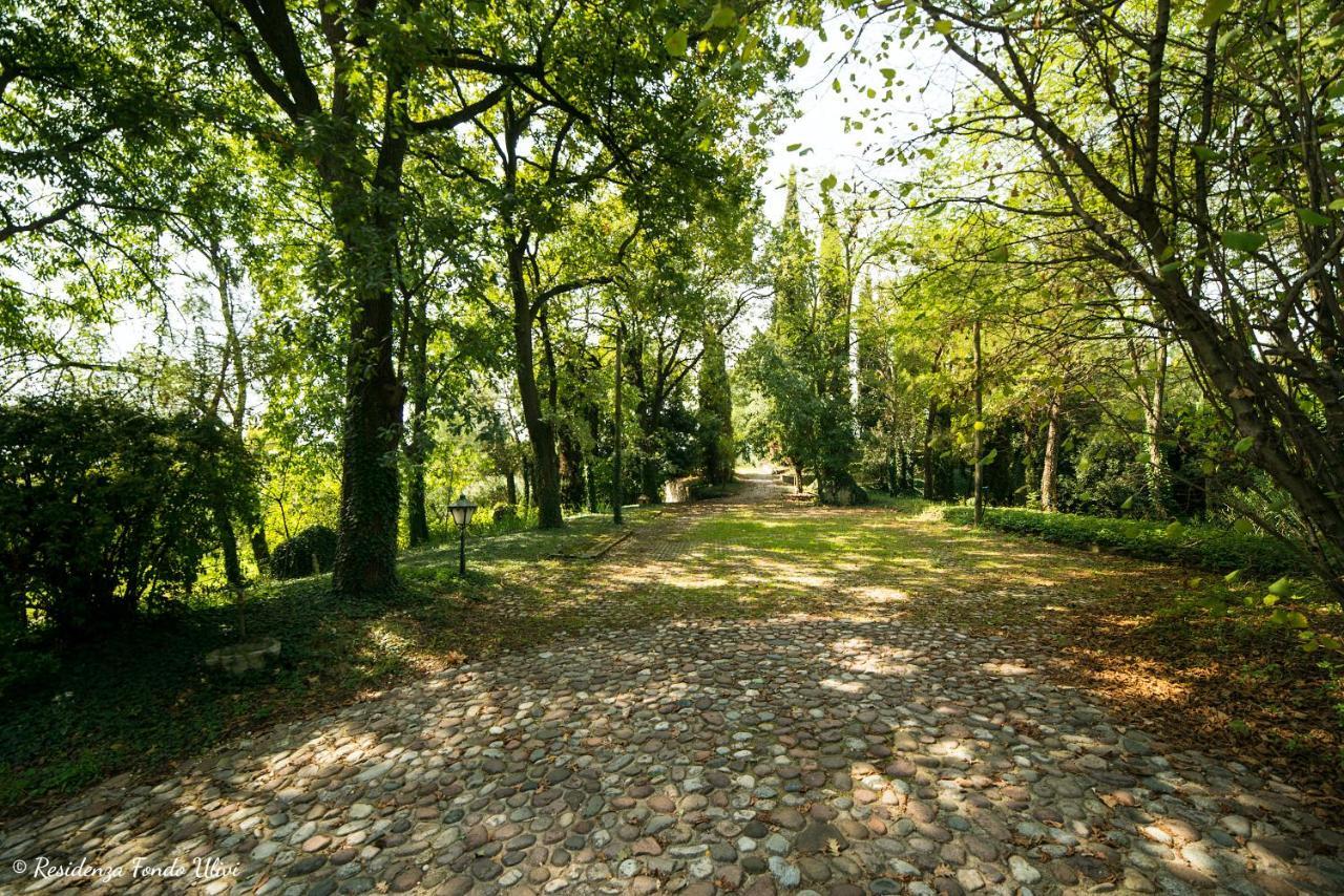Residenza Fondo Ulivi Villa Ponti sul Mincio Buitenkant foto